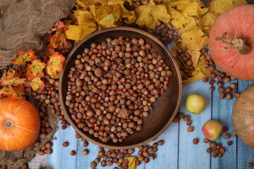 autumn still life with pumpkin
