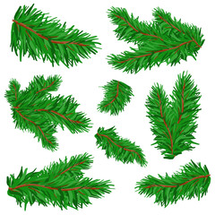 Set of cartoon Christmas trees, fir branches, green pines, spruce isolated on white background. Festive design elements for New Year greeting cards, header, website. Winter vector illustration.