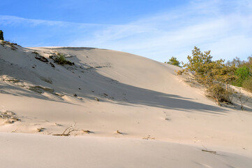 Fototapeta na wymiar High sand dunes. Picturesque sea shores.