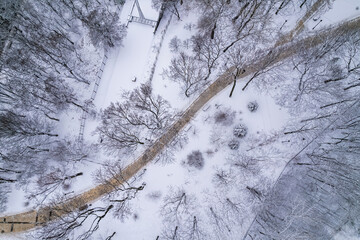 empty footpath in winter park. frozen trees, covered by fresh first snow.