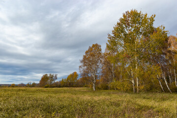 Fototapeta na wymiar Fields and forests in cloudy, autumn weather. Late fall. Europe.