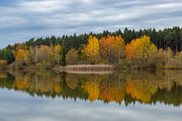 Forest lake in cloudy, autumn weather. Late fall. Europe.