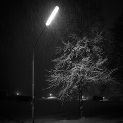Lonely street lamp in winter