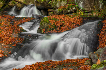 Cerna Desna creek in Jizerske mountains in autumn color morning