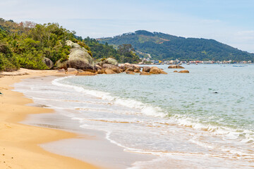 Beach with sand, stones and forest