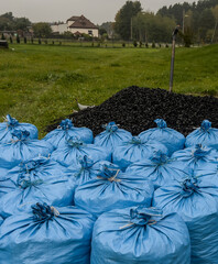 The energy crisis and the lack of bagged eco-pea necessitate manual bagging of coal delivered in...