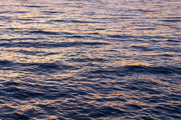 sea at sunset.  surface of  sea in  evening. Water close-up. Dark waves.