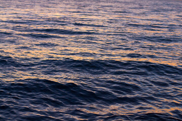 sea at sunset.  surface of  sea in  evening. Water close-up. Dark waves.