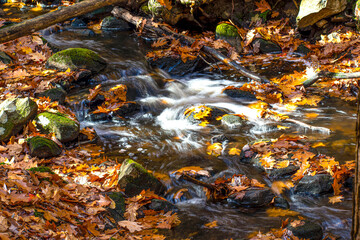 Obraz na płótnie Canvas water cascading in a small brook in central new england