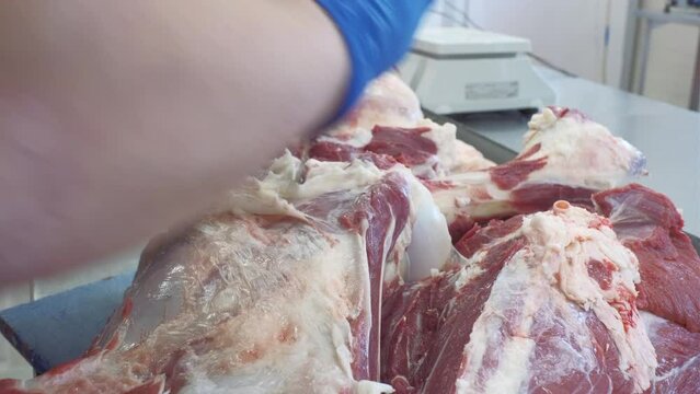 Close-up of butcher cutting meat. Clip. Cutting meat carcass in store. Slicing large piece of meat in grocery store