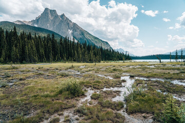 river in the canadian rocky mountains