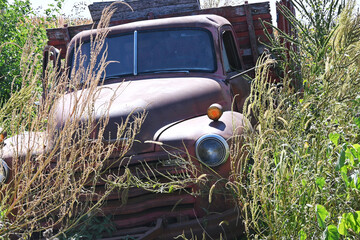 Abandoned Grain Truck