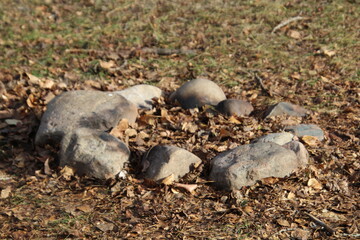 The Firepit