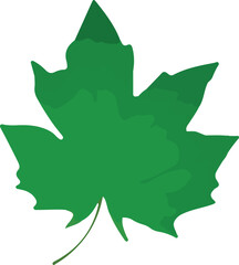 Flat leaves icons. Vector illustration.