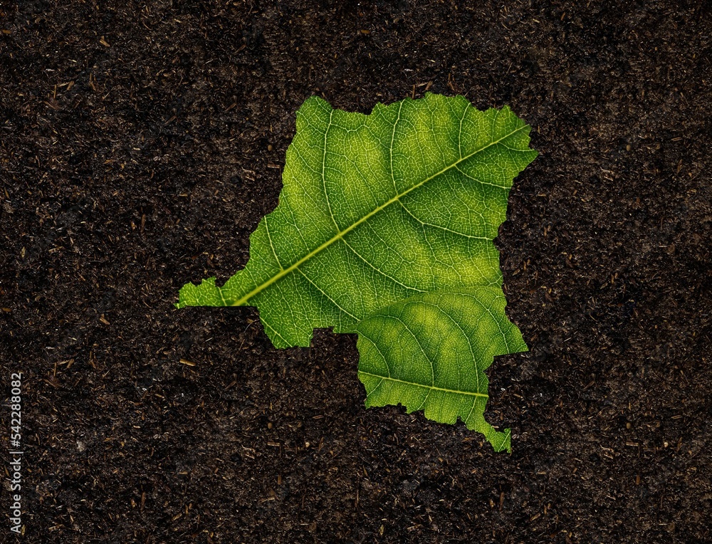 Poster 3d rendering of a congo map made of green leaves on a soil background