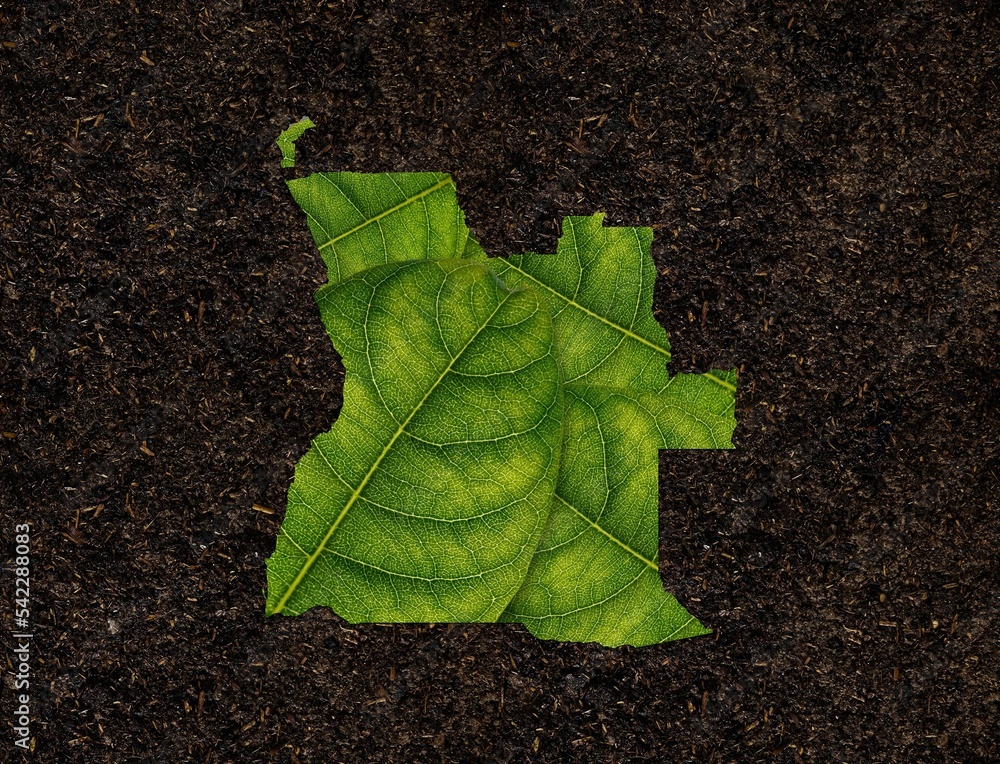 Poster 3d rendering of angola map made of green leaves on a soil background