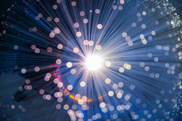 Close-up of optical fibers 2