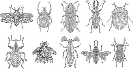 A collection of beetles and insects in a linear style. Linear vector illustration of beetles. © Tatyana Olina
