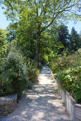 Fototapeta premium Botanischer Garten auf der Brissago Insel im Lago Maggiore