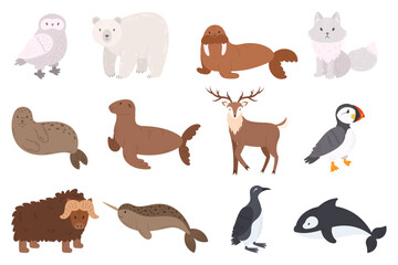 Set Of Arctic Animals Owl, Polar Bear, Walrus, Arctic Fox And Seal Or Sea Lion. Reindeer, Atlantic Puffin Or Sea Parrot