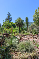 Botanischer Garten auf der Brissago Insel im Lago Maggiore