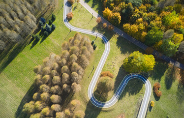 Aerial view of road in forest.	