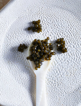 Caviar spoon on white textured plate