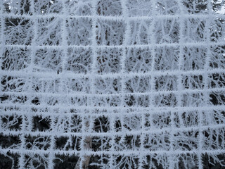 ice flower covered fence with square pattern