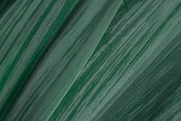 Beautiful multicoloured green leaves background after rain