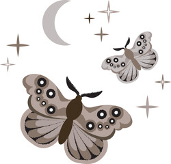 Beautiful fairy moth in brown tones. Illustration for boho nursery posters, cards, invitations. Brown night butterfly. Mythtical card.