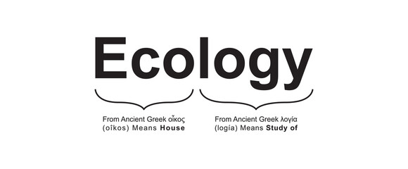 Ecology Meaning Concept Design. Vector Illustration.