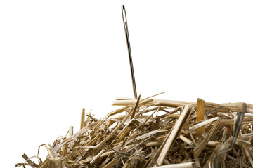 Close-up of a Needle in a Hay - obrazy, fototapety, plakaty