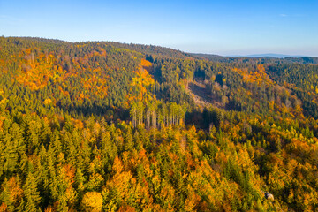 Colourful autumn forest of Jizera Mountains from above