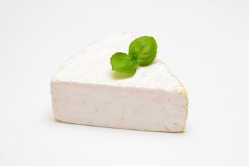 Camembert cheese with white mold on a white background