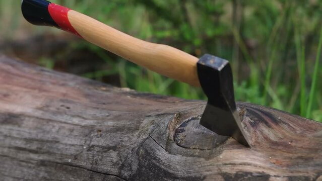 Close-up on an axe insertion in the oak log. Filmed in the forest in summer evening.