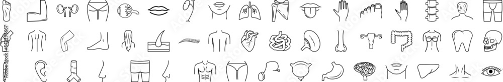 Poster Body parts icon collections vector design