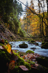 Wasserfall, Bach, Fluss, Wald, Steine, Moos, Wasser