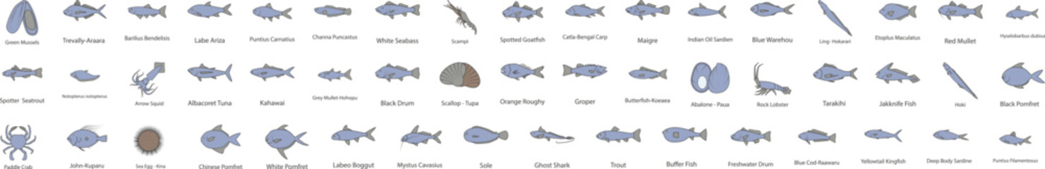 Fish icon collections vector design