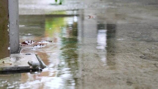 Heavy rainfall warning in Vancouver, British Columbia.