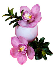Detailed PNG cutout selection image of a Pink Cymbidium Orchid flower blossom in a white glass vase...