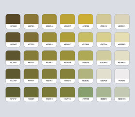 Ocher color palette with hex