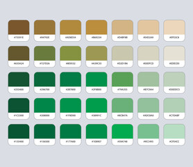 Brown and green color palette with hex