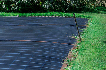 Garden field covered with black color textile weed control mulch - obrazy, fototapety, plakaty