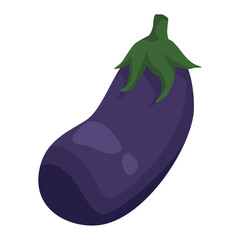 purple eggplant vegetable