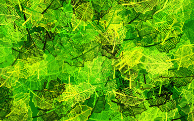 Dark Green, Yellow vector natural pattern with leaves.