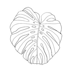 Monstera tropical leaves. Exotic leaves jungle. Line art of monstera leaves for coloring page