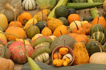 Pumpkins IV