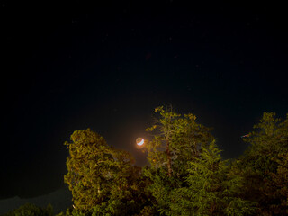 木の間に沈む三日月