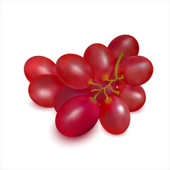Ripe red grapes sprig close-up on white background. Cluster of fresh juicy grape. Wine grapes, table grapes. 3d realistic vector objects.