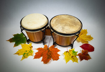 A pair of congas percussive instruments on the white background and colorful autumn leaves.